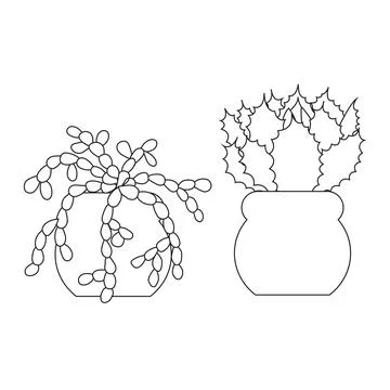 Two cute succulent cacti in doodle style. Vector illustration isolated on w.. Stock Illustration