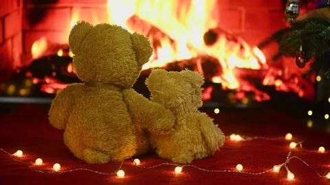 Two cute teddy bears hugging each other sitting on a knitted red plaid against Stock-Footage 169031926