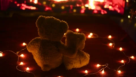 Two cute teddy bears hugging each other sitting on a knitted red plaid against Stock-Footage 169032031