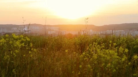 Two cute young sisters run to hug each other Stock Footage 76364179