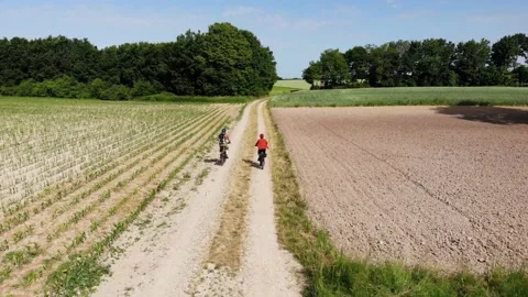 Two cyclist viewing an rabbit Stock Footage 156206155