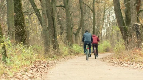 Two cyclists are riding bicycles through the autumn forest park  動画素材 317191108