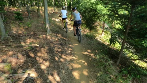Two cyclists from behind in the woods on bikes while riding slowly Stock Footage 137171510