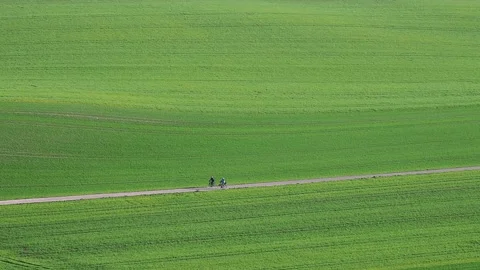 Two cyclists in a green field Stock Footage 151975223