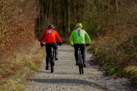 Two cyclists navigating through a dense forest trail Stock Photos