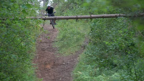 Two cyclists pass along a forest path one after another, under a tree Stock Footage 116487961