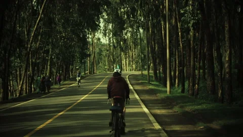 Two cyclists pedal in single file on a tree-lined street Stock Footage 138630995