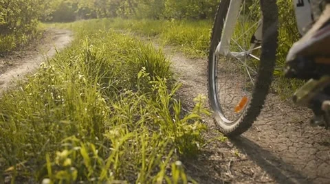 Two cyclists relax biking in forest Stock Footage 10915264
