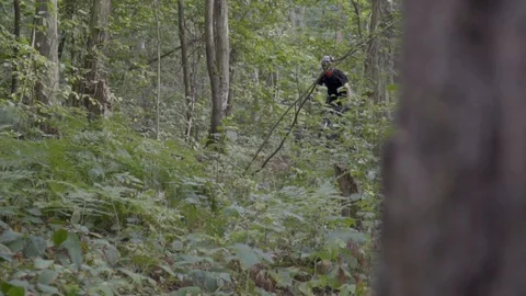 Two cyclists ride along a forest road Stock Footage 116488240