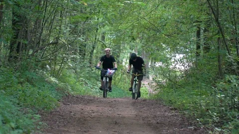 Two cyclists ride along a forest road Stock Footage 116488881
