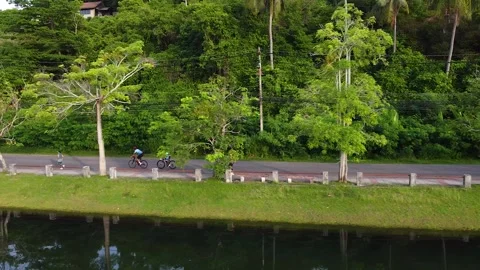Two cyclists ride along the road along the lake in the jungle Stock Footage 171689863