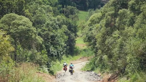 Two Cyclists Ride On A Dirt Road Among Lush Green Vegetation Stock Footage 167824194