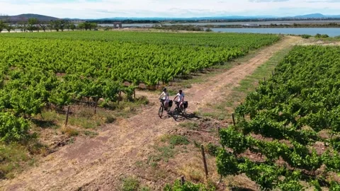 Two Cyclists Riding Along Vineyard Path Beside Lake in Rural France on Sunny Day Stock Footage 346426566