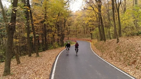 Two cyclists riding on a forest road in autumn Stock Footage 113044953