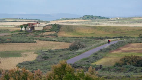 Two cyclists riding narrow road through rolling farmland Stock Footage 337785677