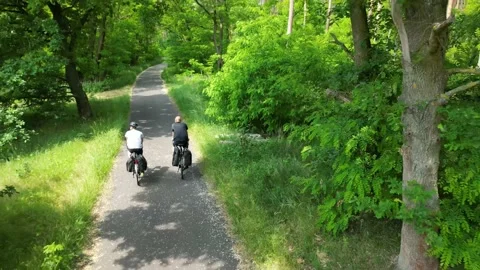 Two cyclists riding their bicycles through a forest Video stock 196728988