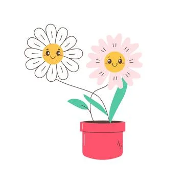 Two daisies, chamomile, daisy flower in red pot. Stock Illustration