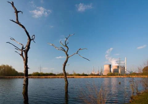 Two dead trees in front of a giant coal-fired power station. Stock Photos