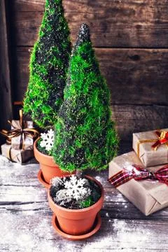 Two decorative cypress Stock Photos