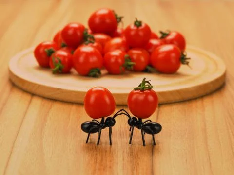 Two decorative funny ants on the table holding cocktail tomatoes Stock Photos