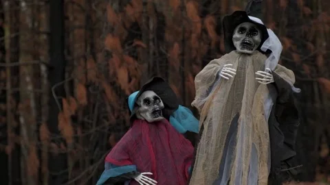 Two decorative human skeletons, ghosts in rags and hats in dark forest. close up Stock Footage 211228939