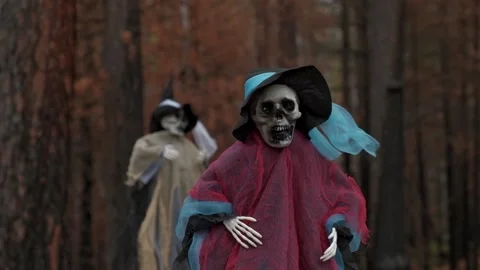 Two decorative human skeletons, ghosts in rags and hats in dark forest. close up Stock Footage 211243495