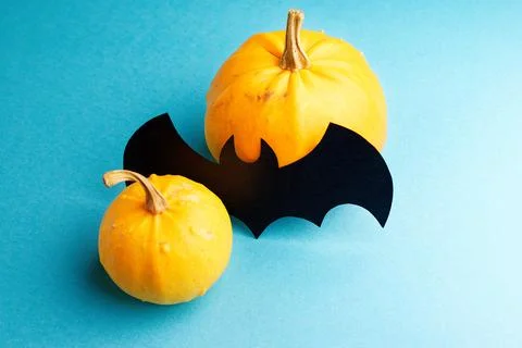 Two decorative pumpkins on a blue background for the holiday. Stock Photos