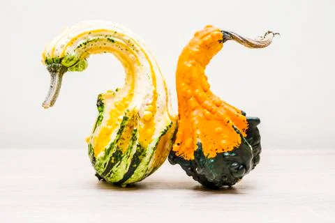 Two decorative pumpkins on a blurred background. Stock Photos