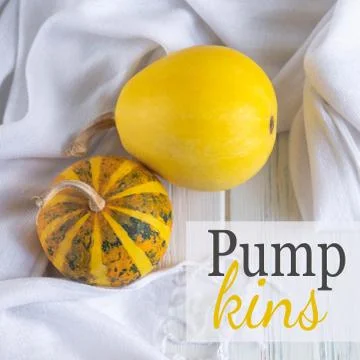 Two decorative pumpkins on a light background. Autumn mood Stock Photos