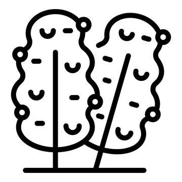 Two decorative topiary trees growing in garden Stock Illustration