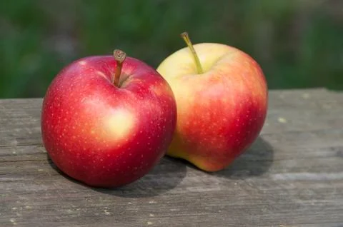 Two delicious apples Stock Photos