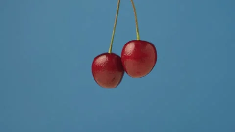 Two delicious cherries on a blue background Stock Footage 135578128
