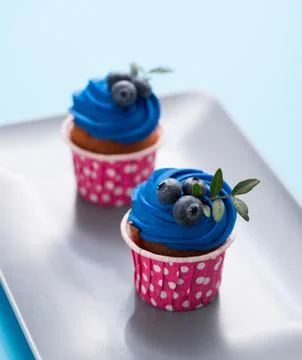 Two delicious cupcakes on a rectangular plate. 스톡 사진