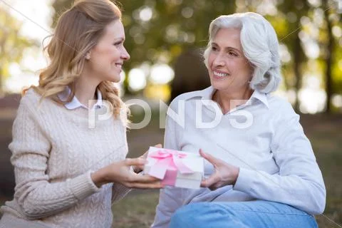 Two delighted happy women sitting on the ground Stock Photos