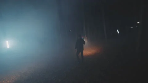 Two detectives young men in woods at night with flashlight. Forest, security Stock Footage 175403839