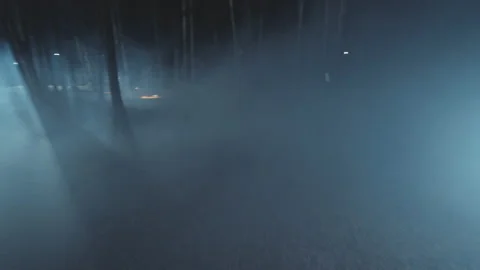Two detectives young men in woods at night with flashlight fog around. Forest Stock Footage 183416309