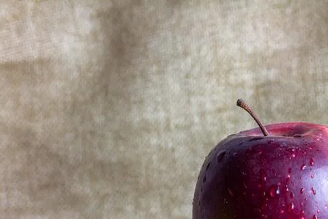 Two different apples on slate and rustic background Stock Photos