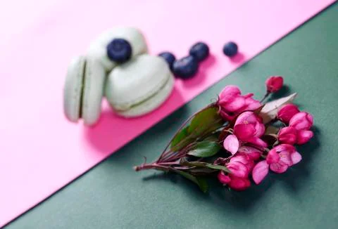 Two different composition separate . Stock Photos