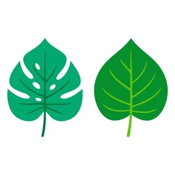 Two different green leaves illustration 库存插图
