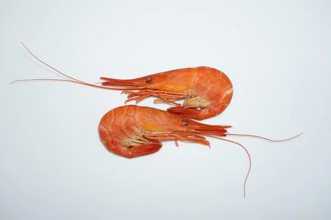 Two different shrimp on a white background. Foto stock