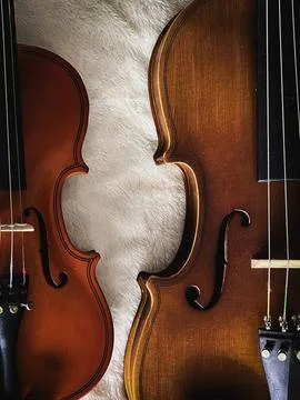 Two different size of violins put on soft cotton cloth, Stock Photos