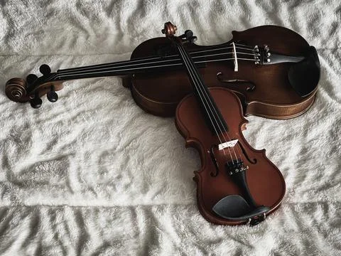 Two different size of violins put on soft cotton cloth, 写真素材