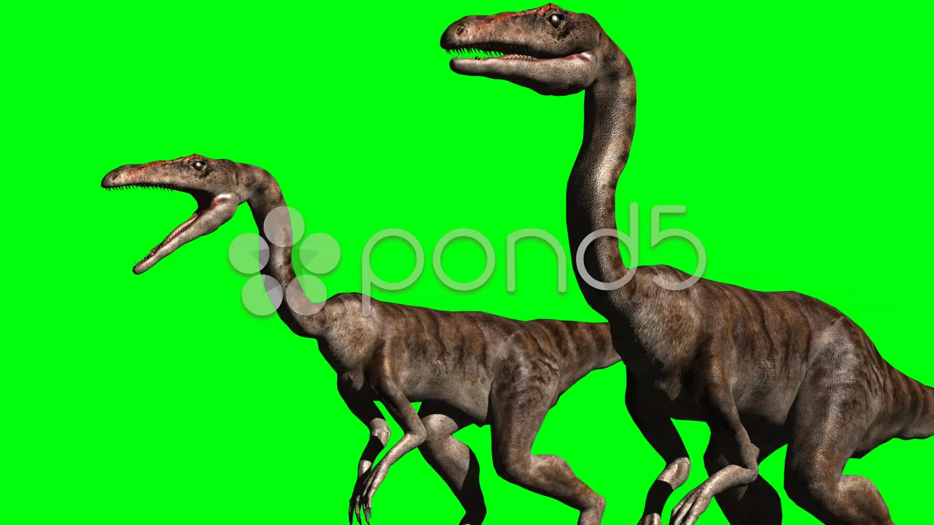 Keying A Group Of Dinosaurs Running On Green Screen Composite