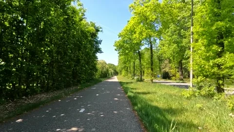 Two direction bicycle lane in the Netherlands Video stock 310043256