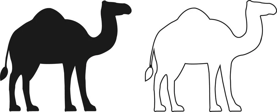 Two distinctive camel silhouettes one solid black and one outline style Stock Illustration