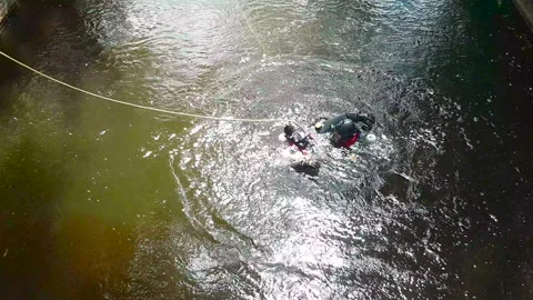 Two divers appear at the surface of the water of a canal, one saving the other. Stock Footage 176343198