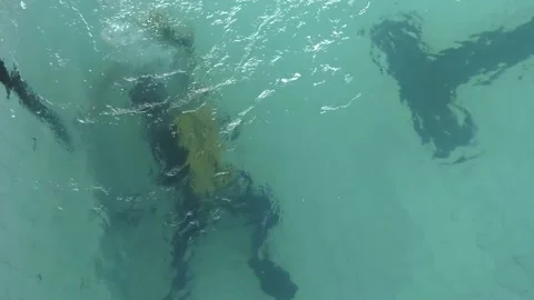 Two divers are trained in the pool. Stock Footage 124731535