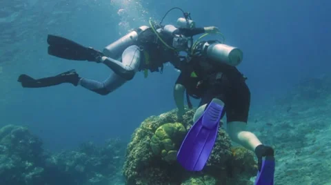 Two divers Stock Footage 7769318