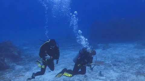 Two divers pointing to camera Vídeo Stock 7137789