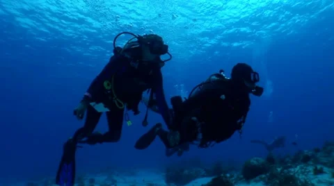 Two Divers Swim Past Camera Holding Hands Stock Footage 10922138